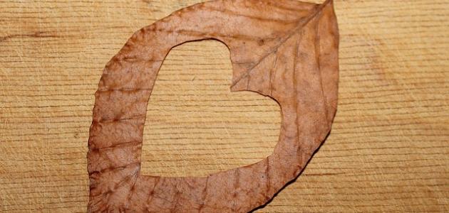 عبارات حب راقية وجديدة 1 عبارات حب راقية