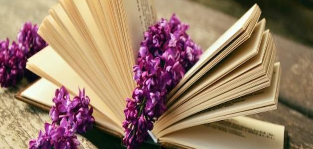 أجمل عبارات جميلة عن القراءة بالانجليزي 2025 1 أجمل عبارات جميلة عن القراءة