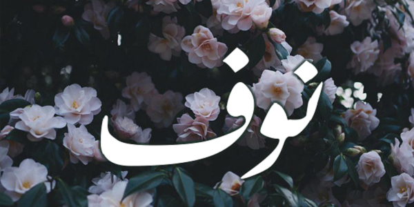 اجمل ابيات شعر في نوف 2025 عبارات حب في نوف 1 ابيات شعر في نوف