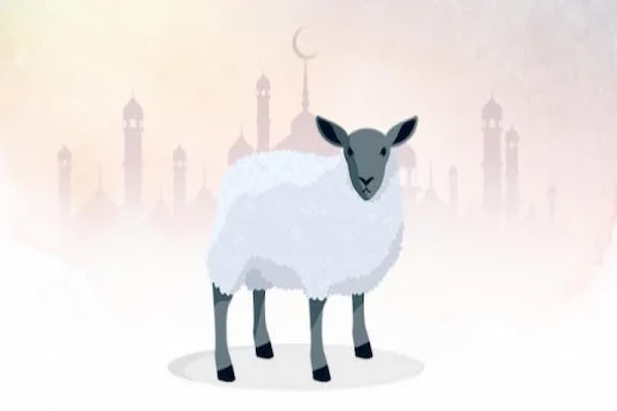 افضل تطبيق ذبائح في مكة المكرمة