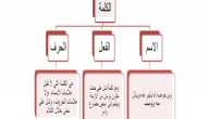 ما هي انواع الكلمة في اللغة العربية وأبرز علامات الاسم