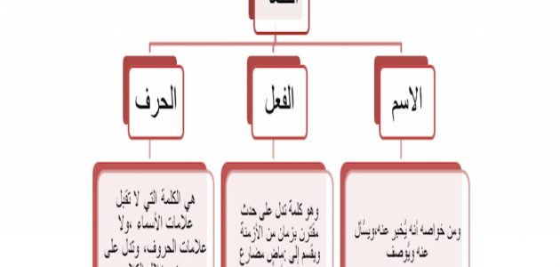 ما هي انواع الكلمة في اللغة العربية وأبرز علامات الاسم 1 الكلمة في اللغة العربية