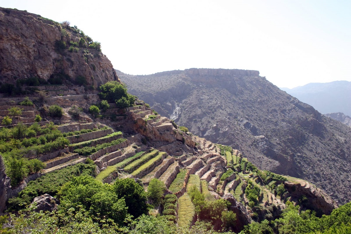 برزنتيشن عن الجبل الأخضر بالانجليزي مترجم