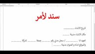 تحميل نموذج سند لأمر pdf أنواع نموذج سند الامر