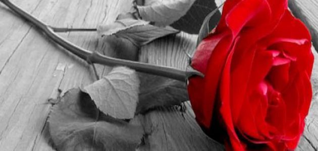 تعريف شعر الغزل الماجن وخصائصه وأسباب ظهوره 1 تعريف شعر الغزل الماجن