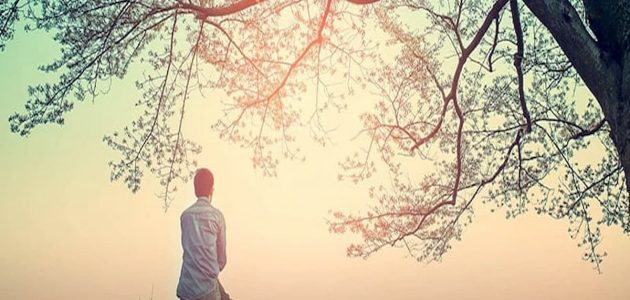 افضل 10 اقوال وحكم عن السلام 2025 عبارات عن السلام والحرية 1 حكم عن السلام