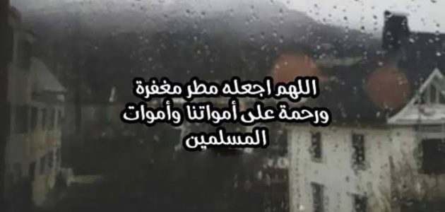 أجمل 15+ دعاء للميت في المطر في رمضان 1447 1 دعاء للميت في المطر في رمضان