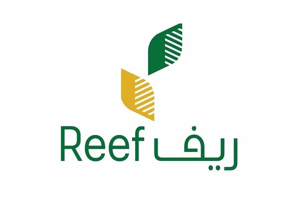 هل دعم ريف يؤثر على حساب المواطن والضمان 1 دعم ريف