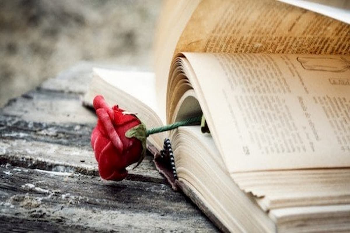 شعر للحبيب الخائن مؤثر جدًا وأقوى الكلمات المكتوبة عنه 1 شعر للحبيب الخائن مؤثر جدًا