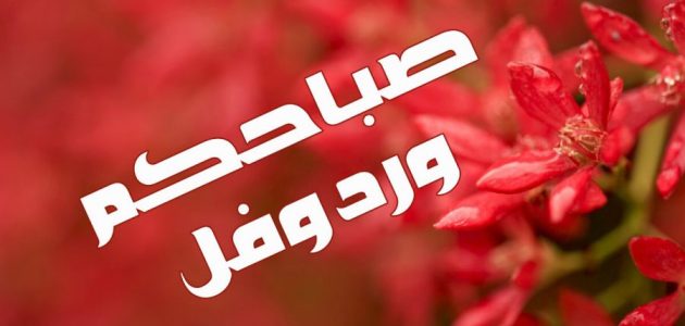 أجمل صور وعبارات صباح الورد وعطره 2025 عبارات صباح الخير 1 صور وعبارات صباح الورد وعطره