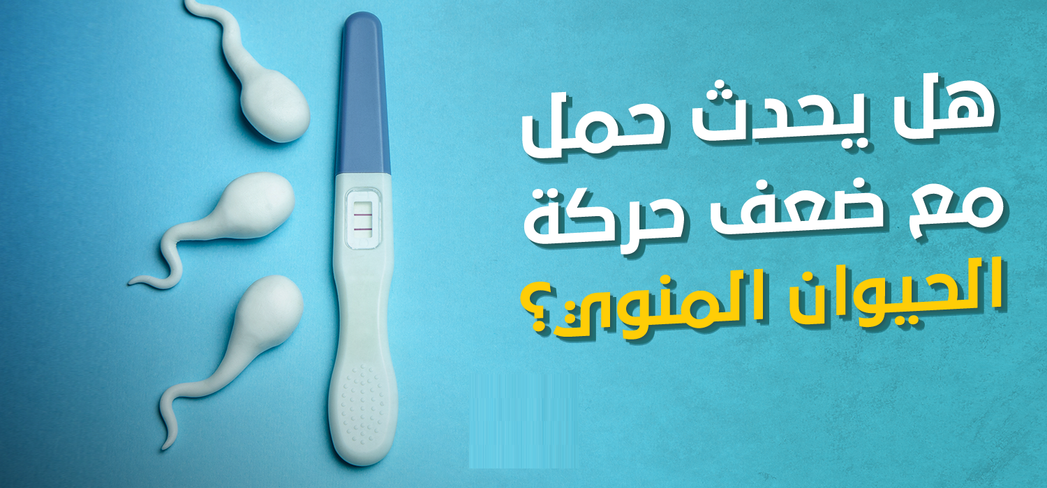 تجربتي مع ضعف الحيوانات المنوية والحمل وطرق العلاج الفعالة 1 ضعف الحيوانات المنوية والحمل