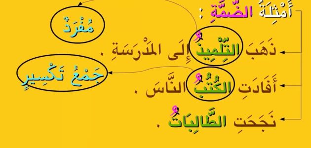 ما هي علامات اعراب الفاعل؟ أمثلة متنوعة على إعراب الفاعل 1 علامات اعراب الفاعل