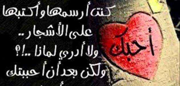 كلام في الحب والعشق