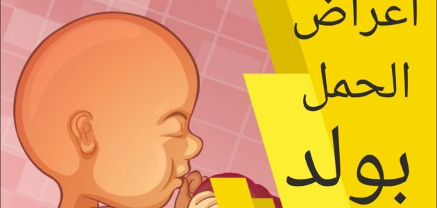 كيف اعرف اني حامل بولد : دليل الطرق المتبعة لكشف نوع الجنين 1 كيف اعرف اني حامل بولد