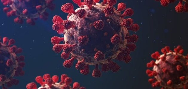 لماذا نعجز عن قتل الفيروسات وما هي طرق القضاء عليها 1 لماذا نعجز عن قتل الفيروسات