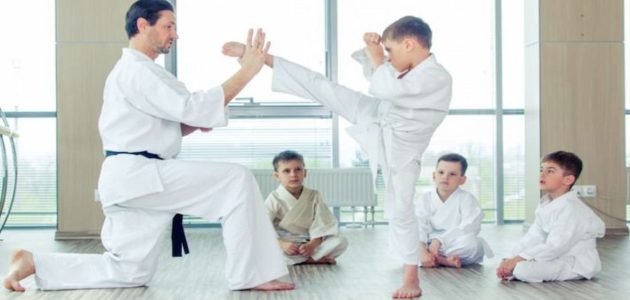 ملخص عن الكاراتيه جاهز للتحميل وأبرز التواريخ في رياضة الكاراتيه 1 ملخص عن الكاراتيه