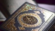 من هو اكثر نبي له معجزات وأبرز المعلومات عن هذه المعجزات