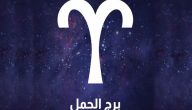 ما مواصفات برج الحمل (العيوب والمميزات) وصفاته في الحب