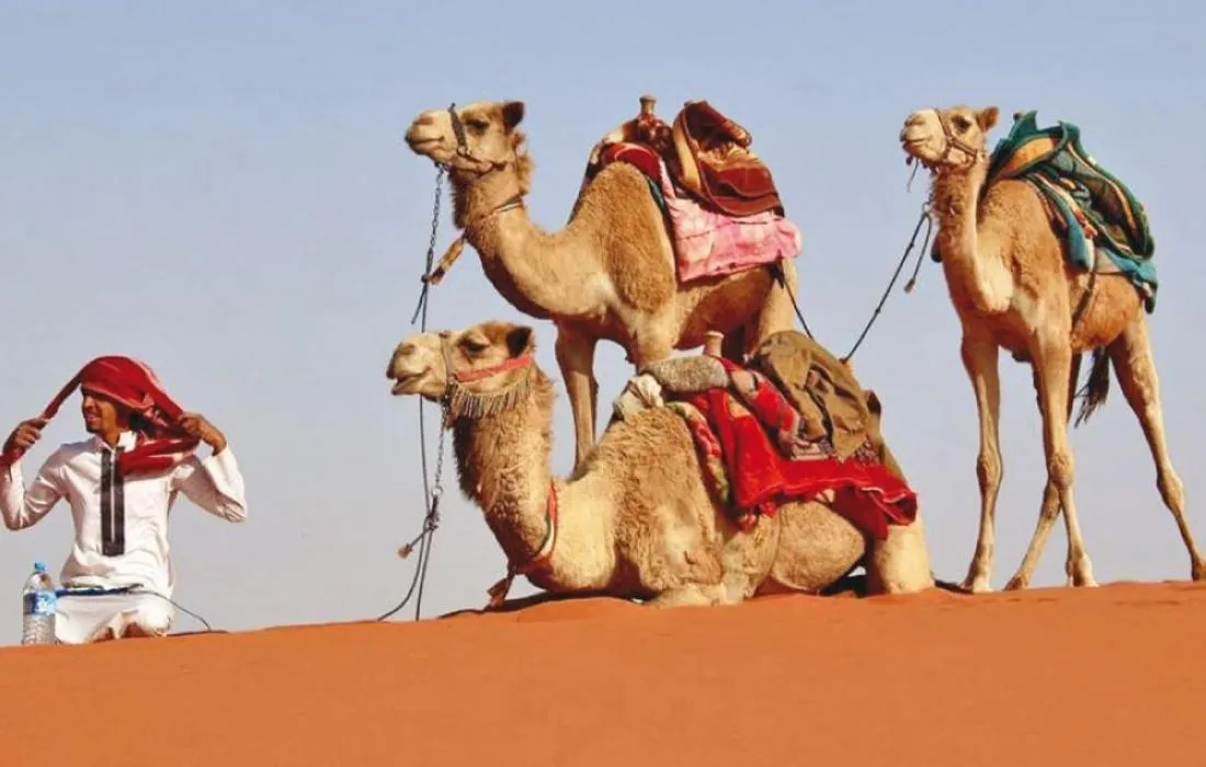 الردادي وش يرجع وأصل القبيلة وشجرة العائلة 1 الردادي وش يرجع