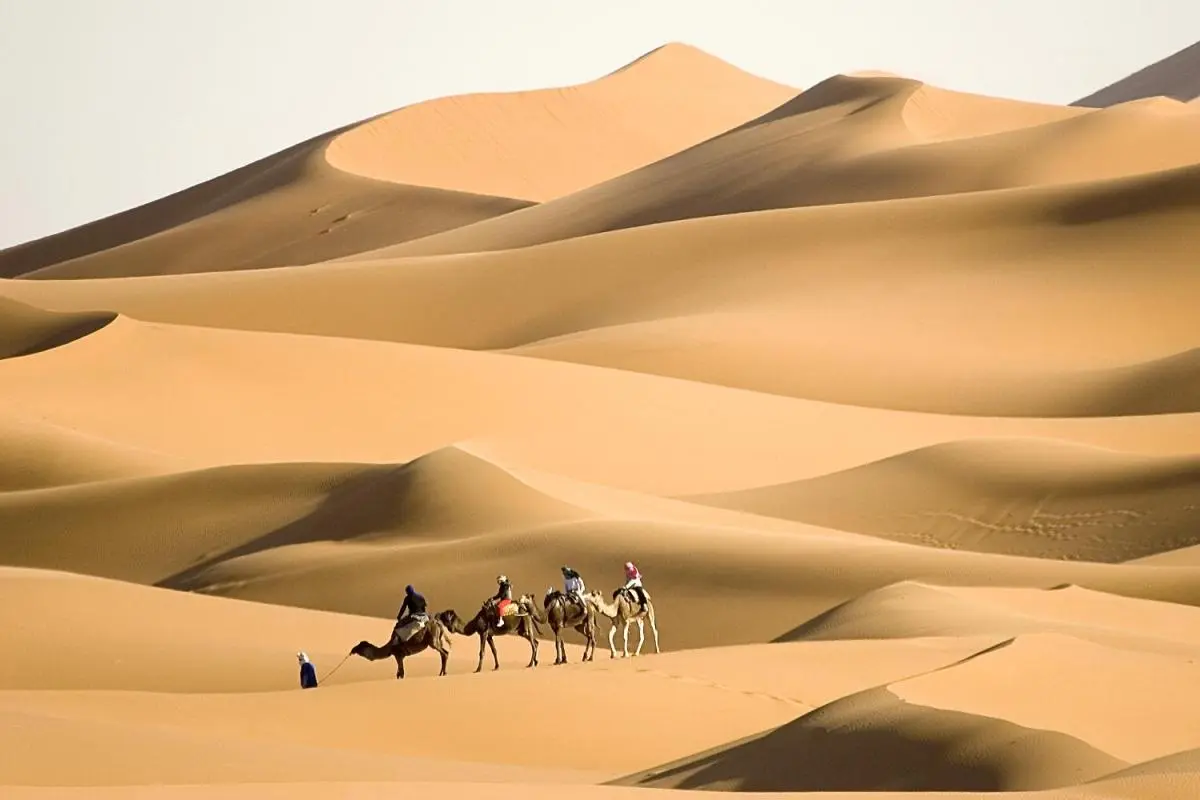 العطاوي وش يرجع ما أصله ونسبه؟