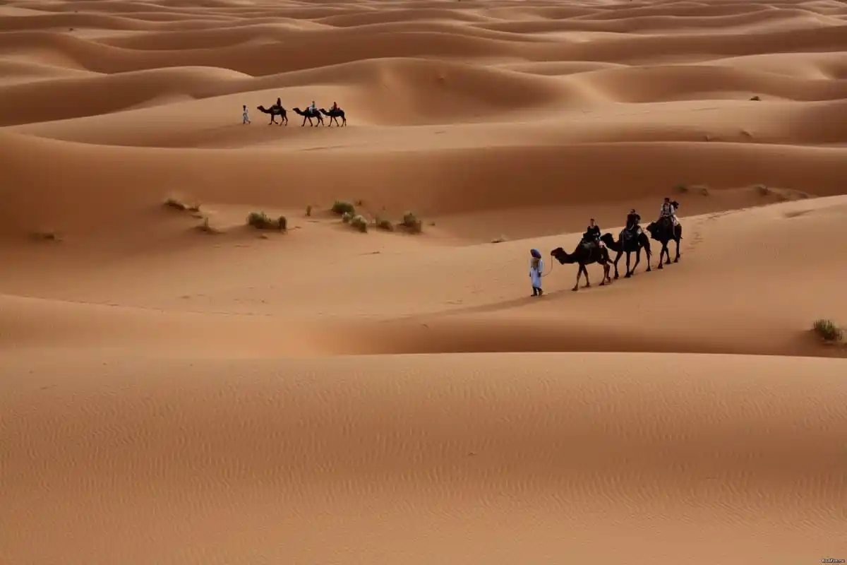 الغابر وش يرجع وما أصله ونسبه؟