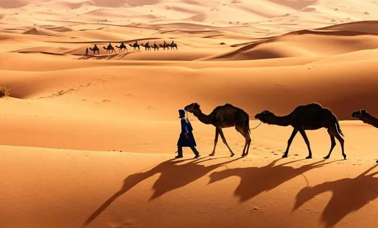بن بتلاء وش يرجع وأبرز المعلومات عنه