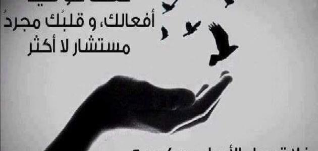 30+ عبارات جميلة عن الحياة مميزة مع الصور 1 عبارات جميلة عن الحياة